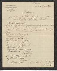 Nachlass Franz Steindachner, Brief und Beilage (Rechnung) von Gustav Schneider (junior) an Franz Steindachner (01.09.1905), Inv.Nr. 462.08, Seite 3